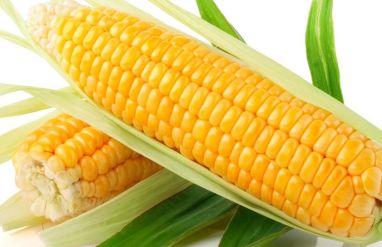 Corn-Golden-Beauty